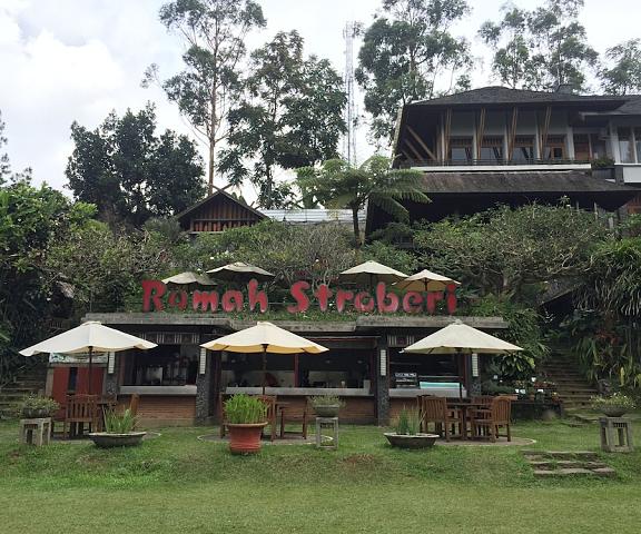 Rumah Stroberi Organic Farm and Lodge West Java Parongpong Exterior Detail
