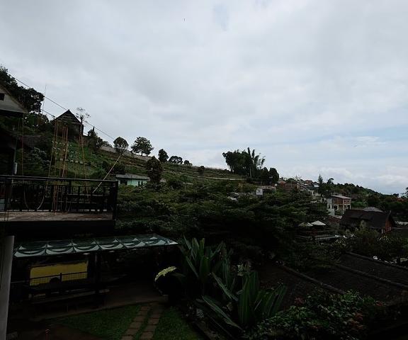 Rumah Stroberi Organic Farm and Lodge West Java Parongpong View from Property