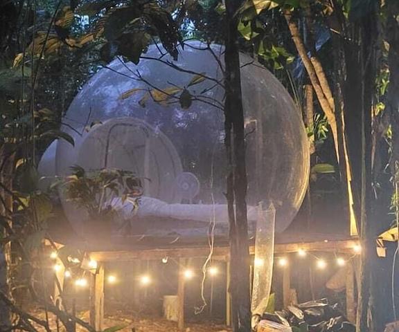 Glamping amazonas Amazonas Leticia Room