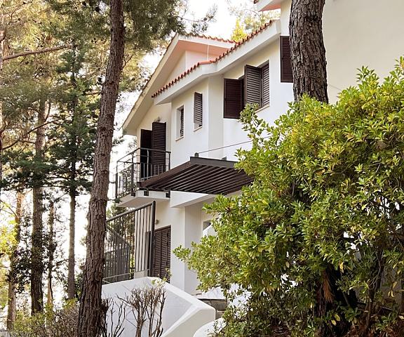 Poed Residences Limassol District Platres Exterior Detail