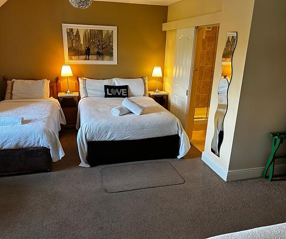 Parkhouse Bed and Breakfast Clare (county) Bunratty Room