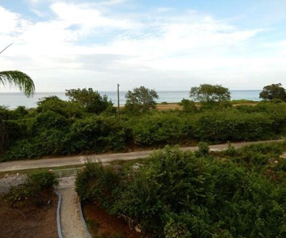Coral Turtle Saint James Duncans View from Property