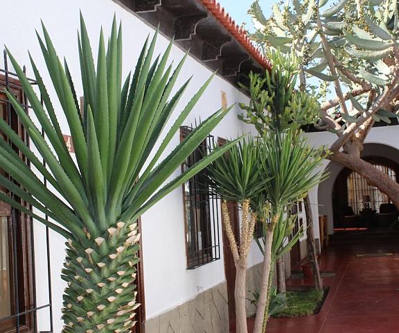 Don Agucho Hotel Ica (region) Nazca Interior Entrance