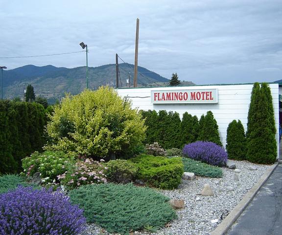 Flamingo Motel British Columbia Penticton Property Grounds