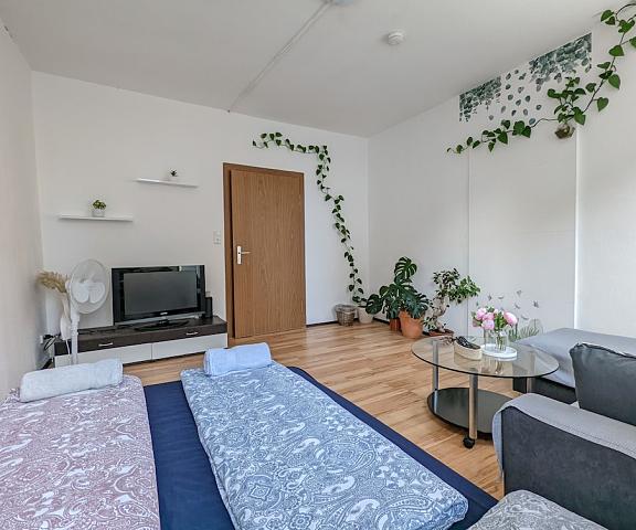 6 People Vacation Apartment In The Black Forest Baden-Wuerttemberg Villingen-Schwenningen Room