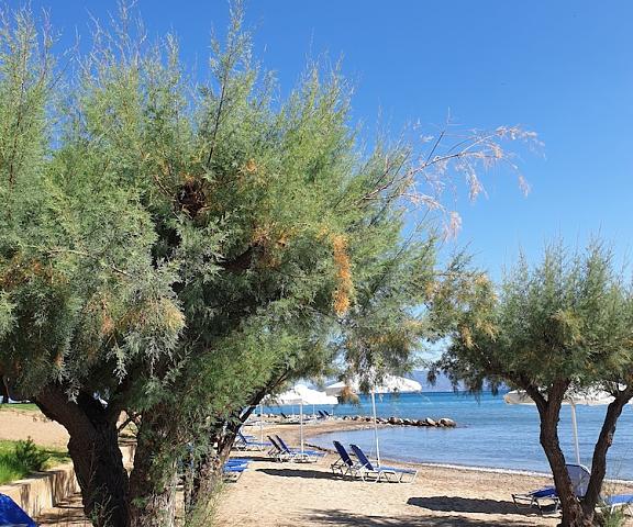 O Paradise Beach Resort & Spa Central Greece Eretria Beach