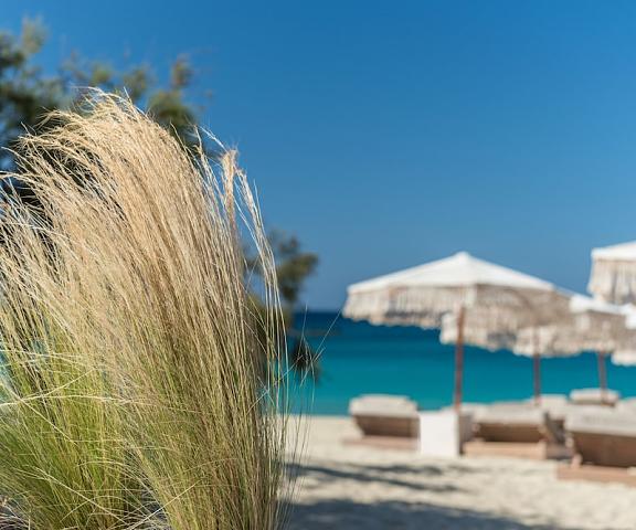 Virtu Suites null Naxos Beach