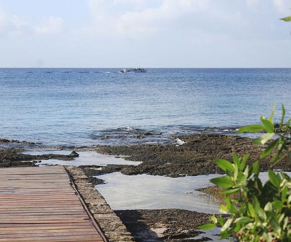 Casa de 3 recamaras frente al mar de Cozumel Quintana Roo Cozumel Exterior Detail