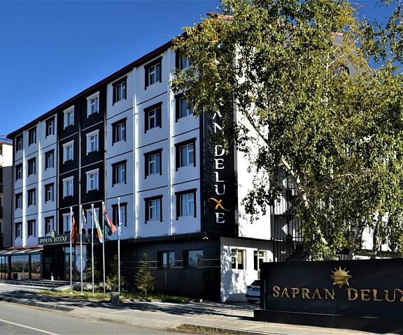 Sapran Deluxe Hotel Kars Kars Exterior Detail