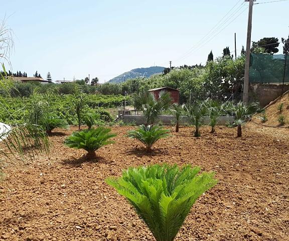 Villa Verde Sicily Alcamo Property Grounds