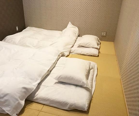Indigo Geohouse DS1 Tottori (prefecture) Iwami Room