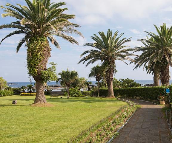 Shirahama Ocean Resort Chiba (prefecture) Minamiboso Garden