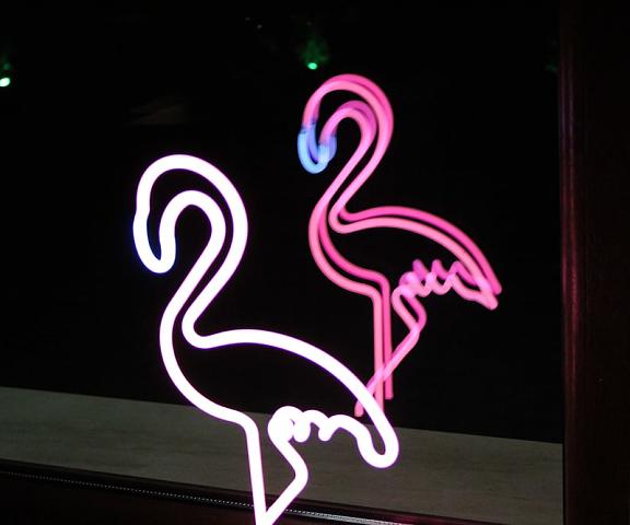 Flamingo Plovdiv null Rodopi Room