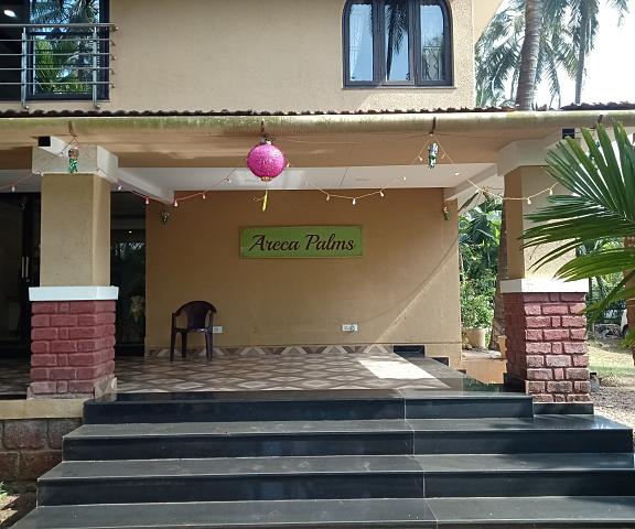 Areca Palms Maharashtra Diveagar Recreation