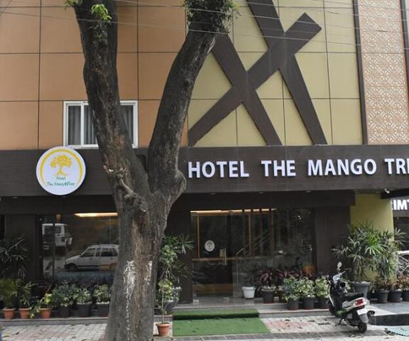 Hotel The Mango Tree Himachal Pradesh Kangra Exterior Detail