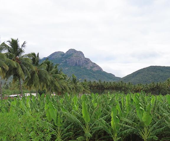 Misty Hills Retreat Tamil Nadu Coimbatore exterior view