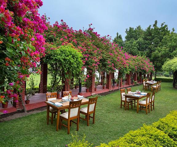 Naturoville Resort Uttaranchal Dehradun Hotel Exterior