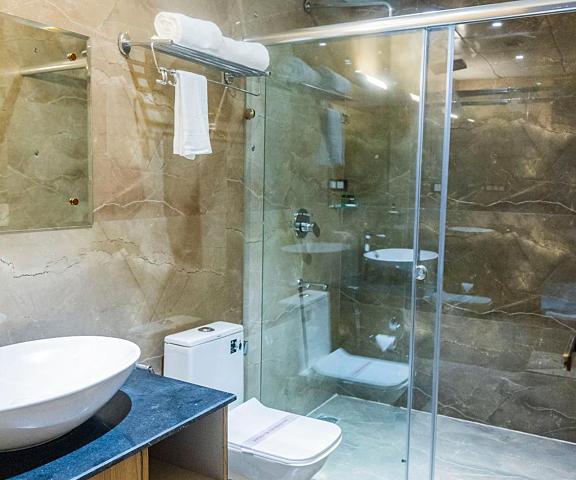 Hotel Aryavilas Uttar Pradesh Mathura Deluxe Double Room with Shower