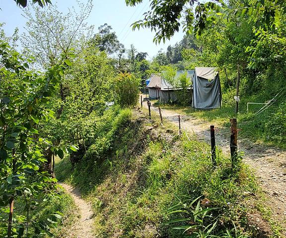 Jungle Live Inn Camps & Resorts Uttaranchal Nainital public areas