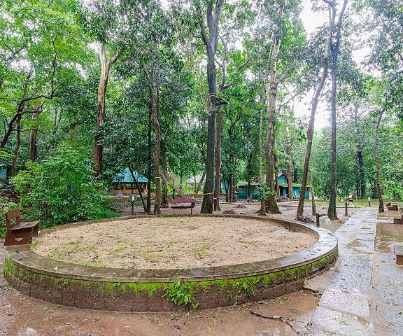 Aanejari Butterfly Camp-junglelodges Karnataka Mangalore Outdoors
