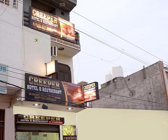 Creeper Hotel And Restaurant Haryana Rohtak 