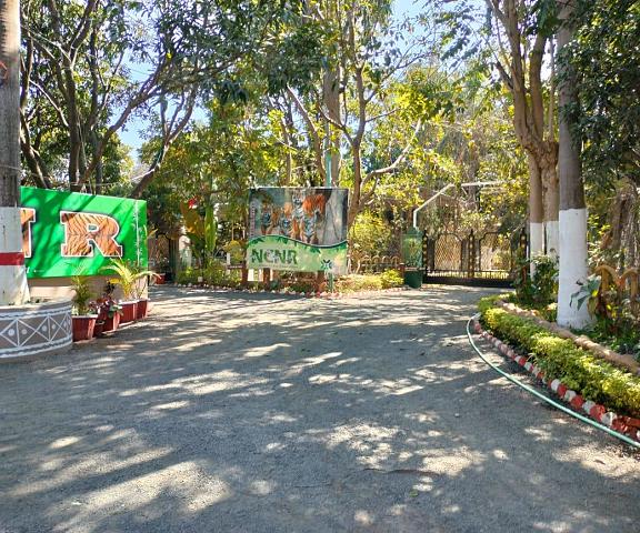 Nirmal Chhaya Nature Resort, Katni Madhya Pradesh Bandhavgarh garden