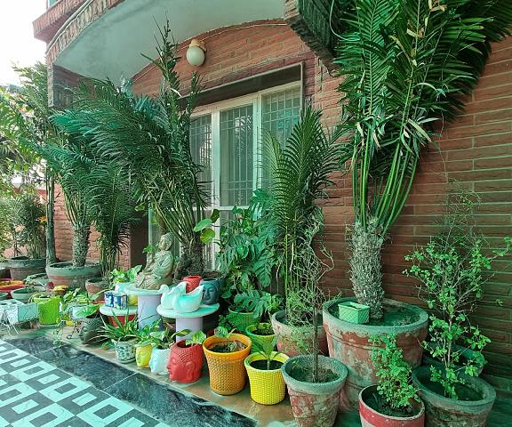 Col Sharma's Homestay Uttar Pradesh Agra garden