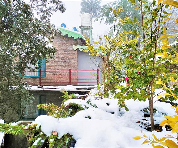 Mohans Binsar Retreat Uttaranchal Almora exterior view