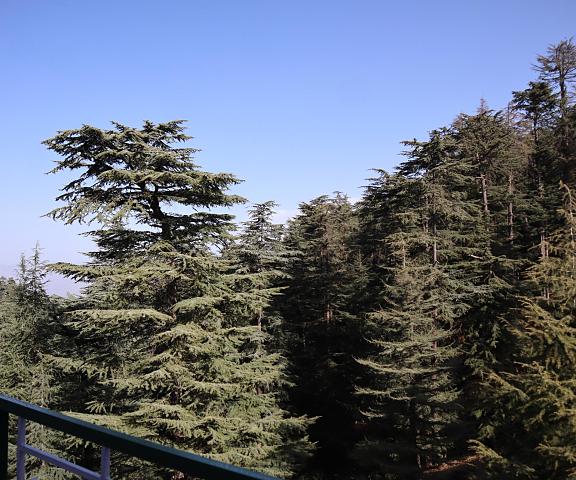 Naldehra Greens Himachal Pradesh Shimla view