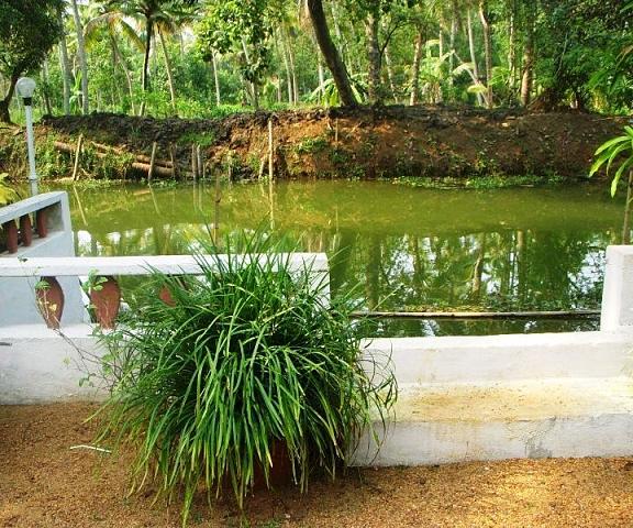 Backwater Heritage Homestay Kerala Kottayam surrounding environment