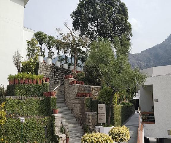 Timber Trail Resort Himachal Pradesh Parwanoo Hotel Exterior