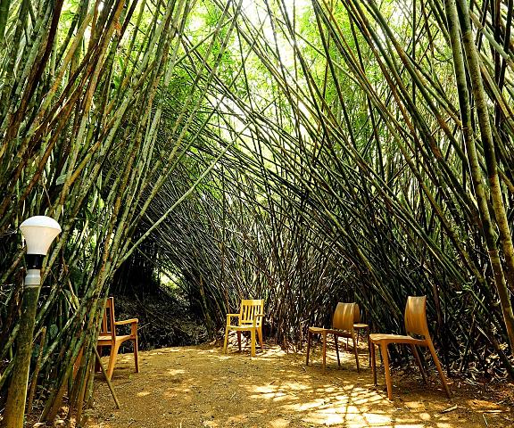 Vythiri Greens Resort Kerala Wayanad Food & Dining