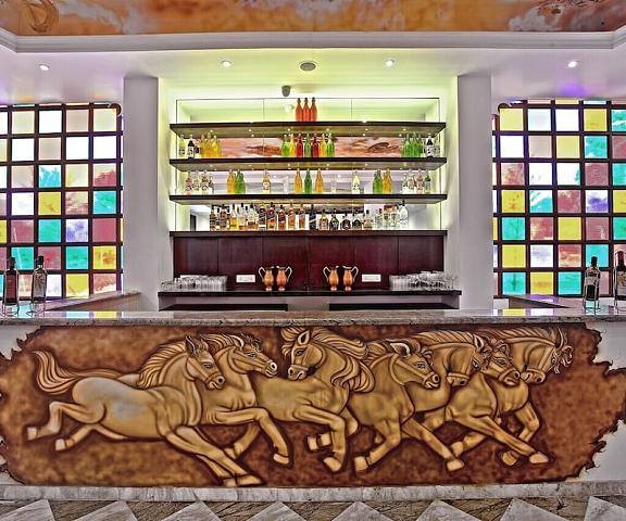Shouryagarh Resort & Spa Rajasthan Udaipur Bar