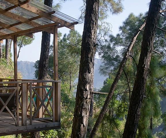 Kasauli Hills Resorts Himachal Pradesh Kasauli 
