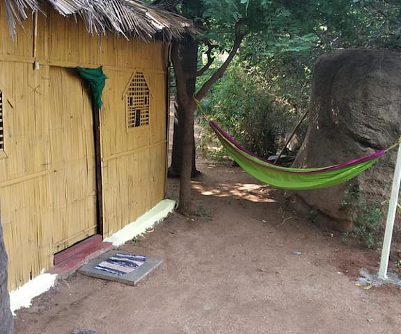 Hotel Gowri Karnataka Hampi Enjoy the complete jungle Stay Exprience in this Hut