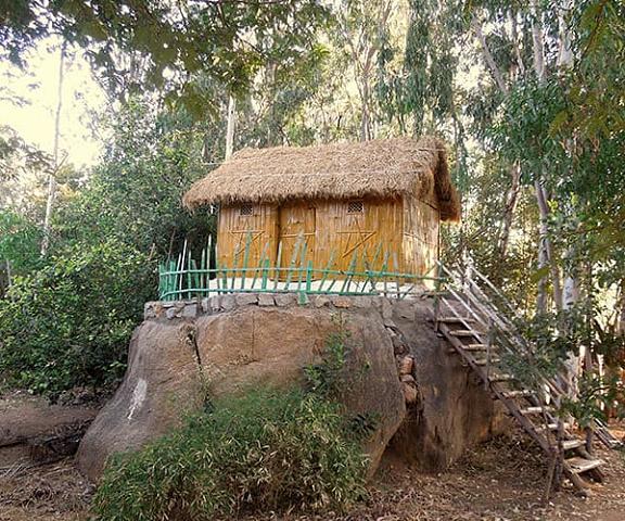 Hotel Gowri Karnataka Hampi Bamboo Hut/Standard Room with Shared Bathroom	
