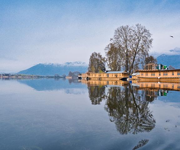 Golden Flower Heritage Houseboat Jammu and Kashmir Srinagar Lake