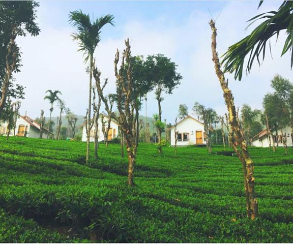 Tea Terrace Vythiri Resort Kerala Wayanad Hotel View