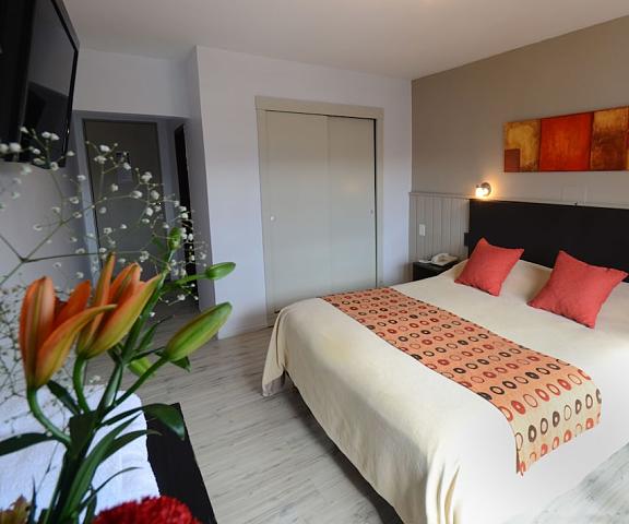 Hotel 7 Lagos null Bariloche Room