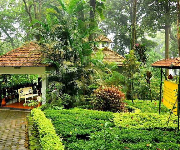 The Tall Trees Munnar Kerala Munnar Reception