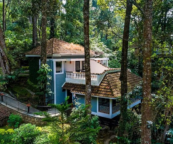 The Tall Trees Munnar Kerala Munnar Primary image