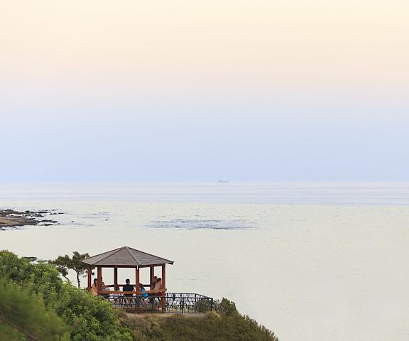 Rodos Princess Beach Hotel - All Inclusive null Rhodes Porch