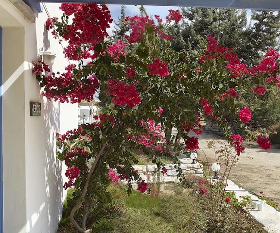 Kedros Villas null Naxos Terrace