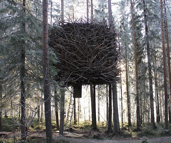 Tree Hotel Norrbotten County Harads Exterior Detail