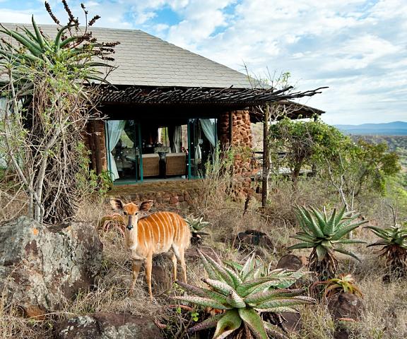 Leopard Mountain Safari Lodge Kwazulu-Natal Jozini Exterior Detail