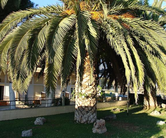 Ignatia Hotel Peloponnese Argos-Mykines Garden