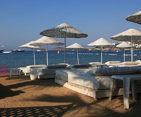 Okaliptus Hotel Mugla Bodrum Beach