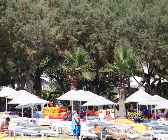 Okaliptus Hotel Mugla Bodrum Beach