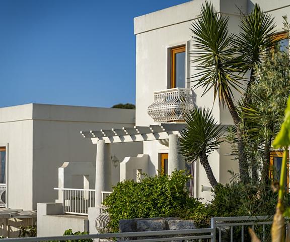 Riva Bodrum Resort - All Inclusive - Adult Only Mugla Bodrum Exterior Detail