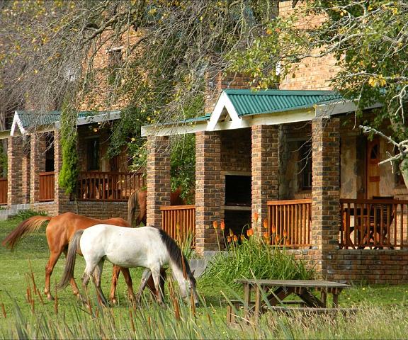 Dunkeld Country Estate Mpumalanga Dullstroom Porch
